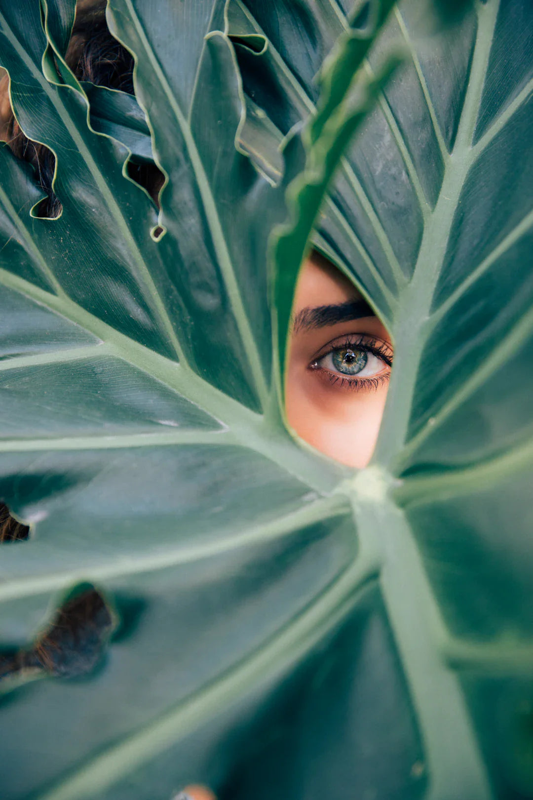 Mastering Skin Health Essential Insights for Everyone